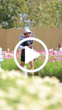 BIB:  <button type="button" onclick="openModal(27587991)" class="btn btn-primary btn-sm float-right" data-toggle="modal" data-target=".modal-high-quality">
                <i class="fa fa-download"></i> Download
                </button>